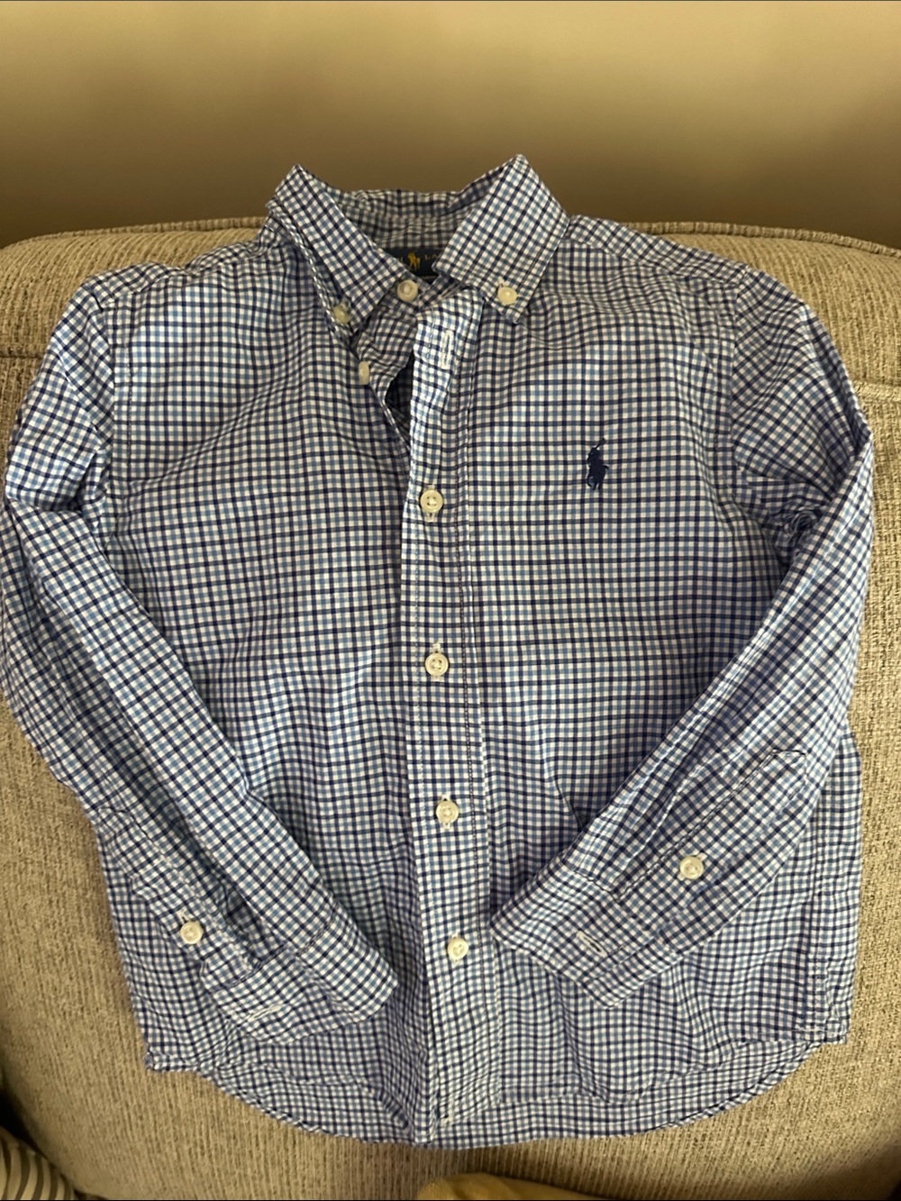 Polo by Ralph Lauren Blue and White Check Button-Down Shirt